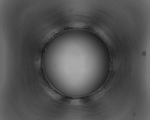 X0000091700309200708241229