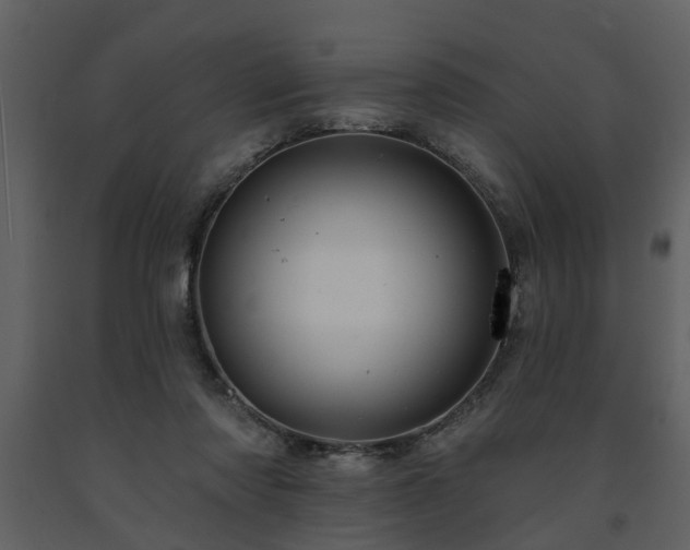 X0000091700310200708241229