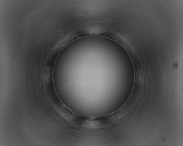 X0000091700311200708241229
