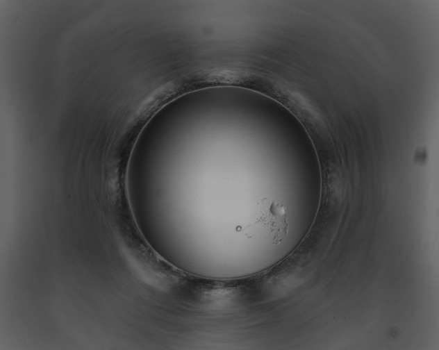 X0000091700312200708241229