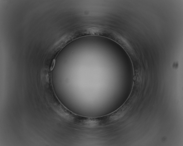 X0000091700313200708241229