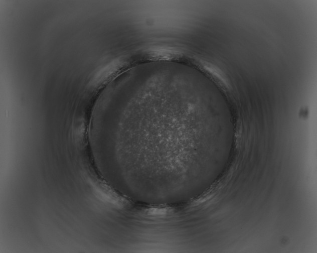 X0000091700314200708241229