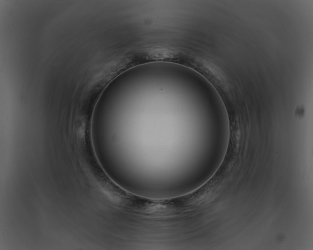 X0000091700315200708241229