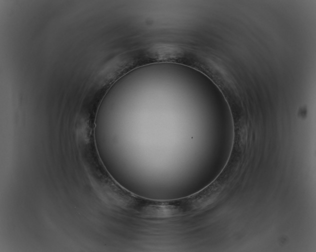 X0000091700316200708241229