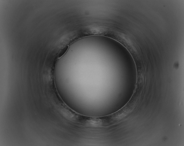 X0000091700317200708241229