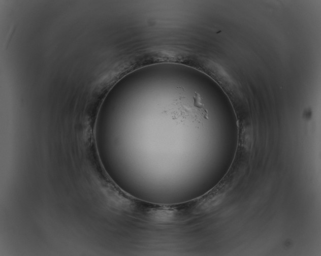 X0000091700318200708241229