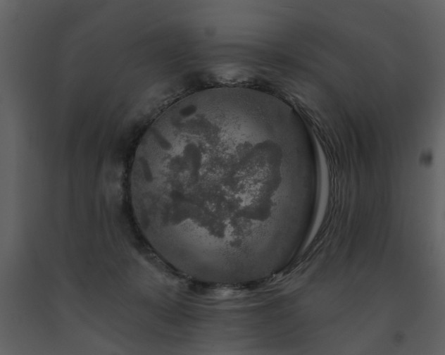 X0000091700319200708241229
