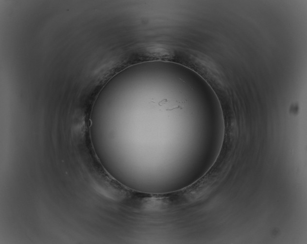 X0000091700320200708241229