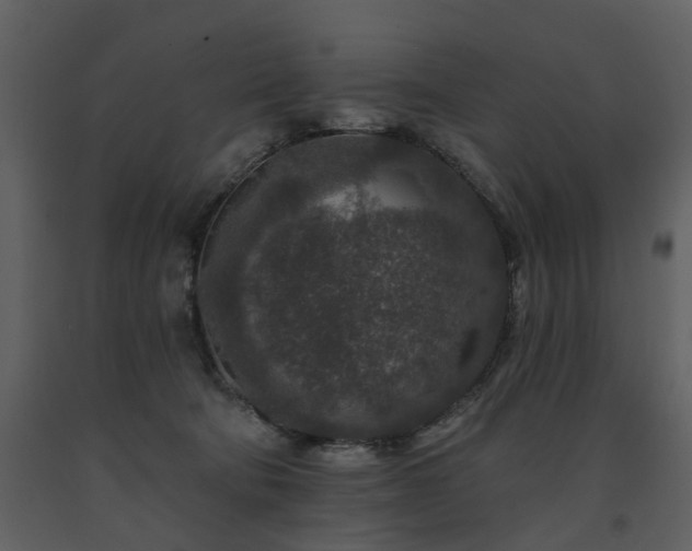 X0000091700322200708241228