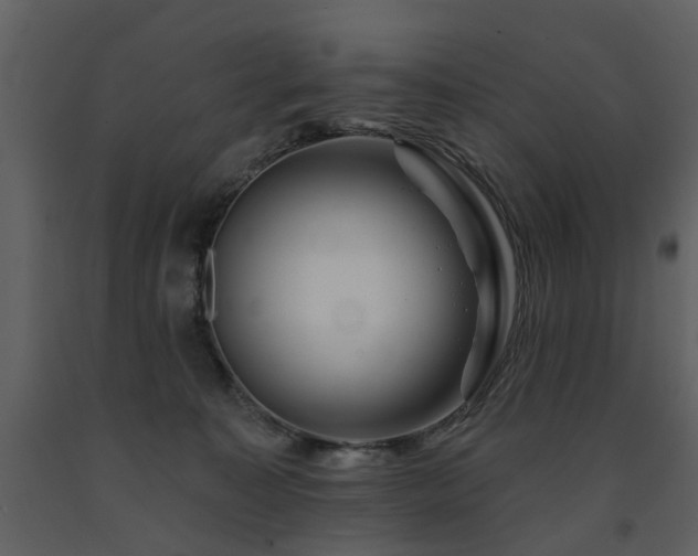 X0000091700323200708241228