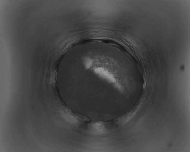X0000091700325200708241228