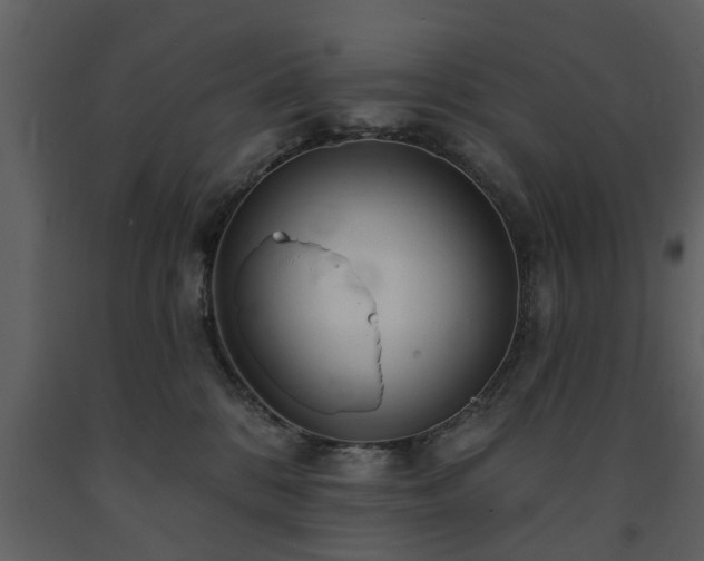 X0000091700328200708241228