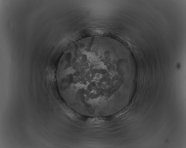 X0000091700331200708241228