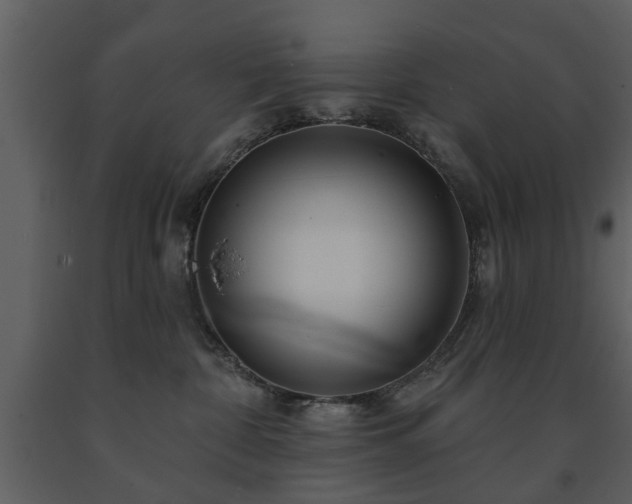 X0000091700332200708241228