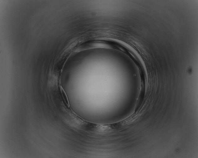 X0000091700333200708241228
