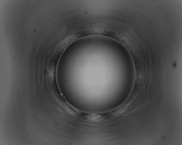 X0000091700334200708241228