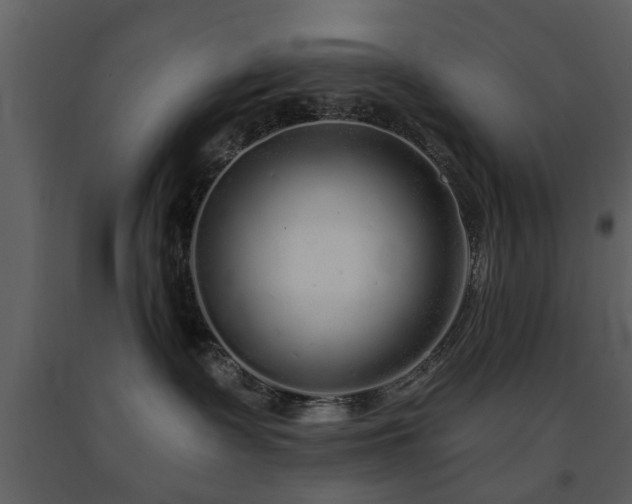 X0000091700335200708241228