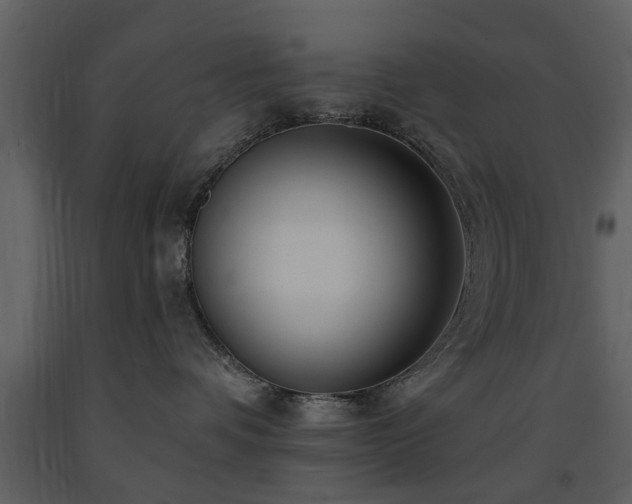 X0000091700336200708241228