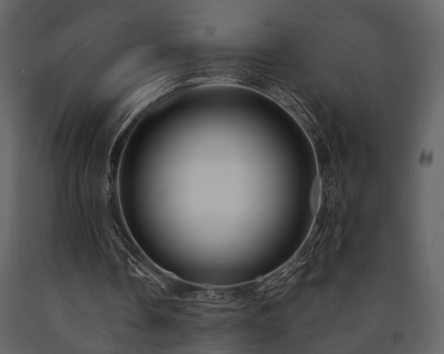 X0000091700338200708241228