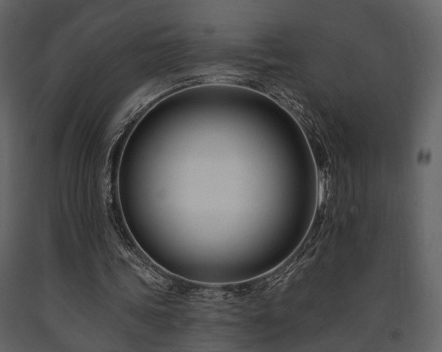X0000091700339200708241228