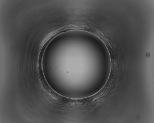 X0000091700340200708241228