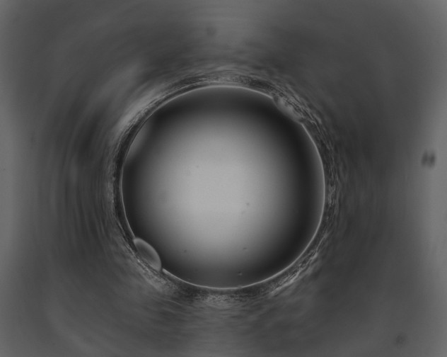 X0000091700341200708241228