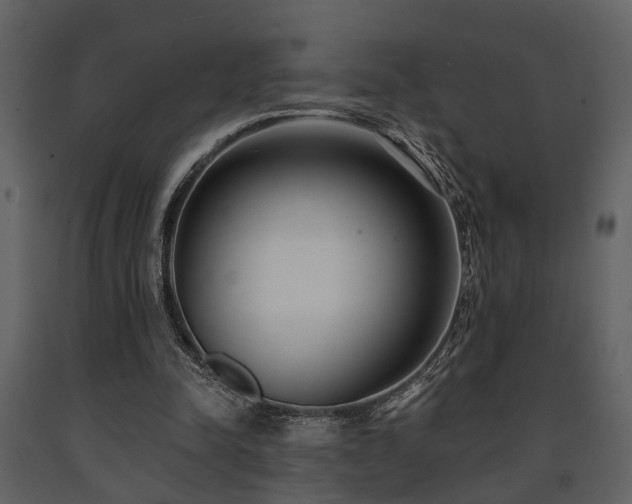 X0000091700342200708241228