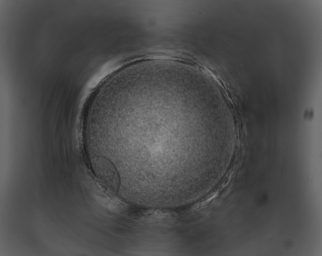 X0000091700343200708241228