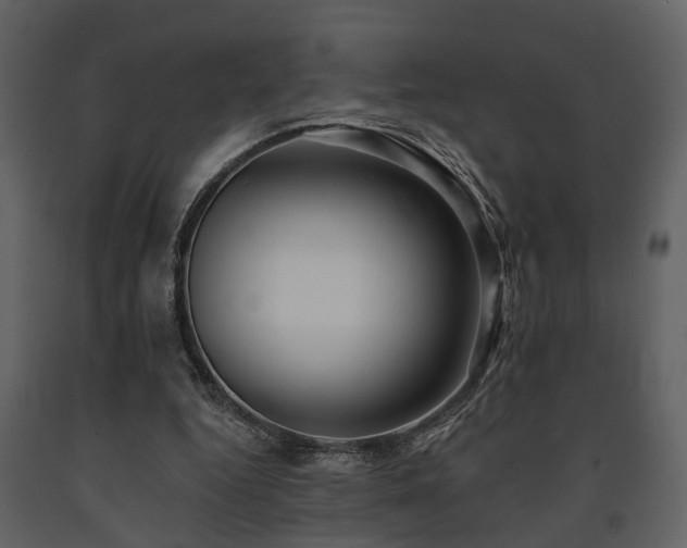 X0000091700344200708241228