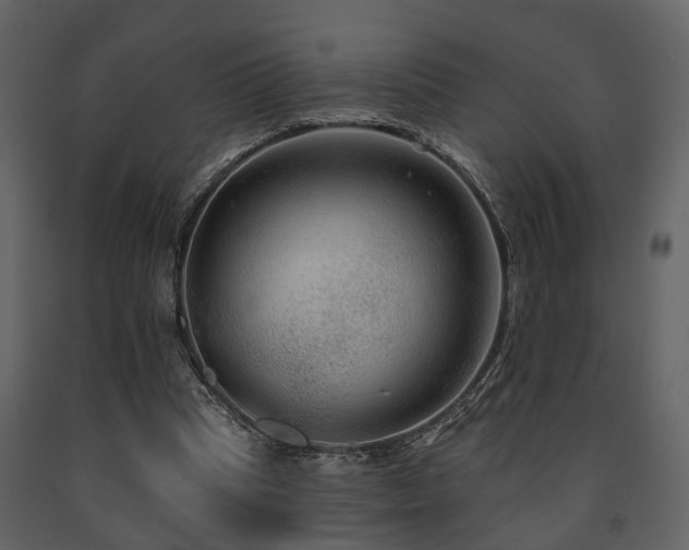 X0000091700345200708241228