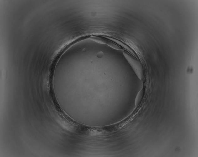 X0000091700346200708241228