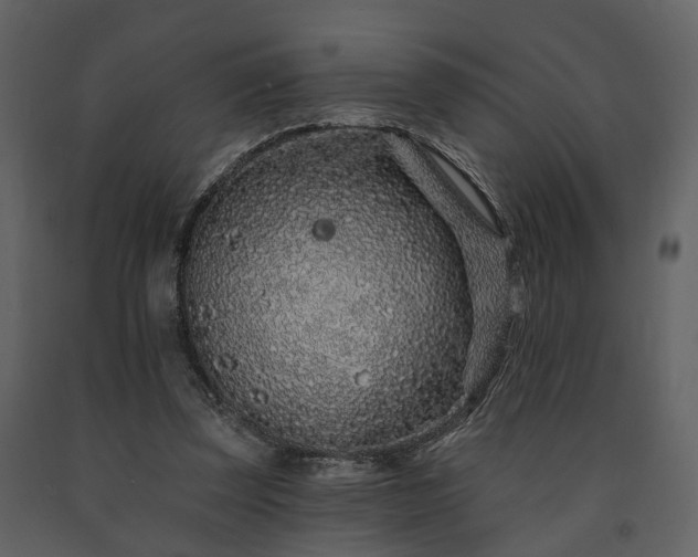 X0000091700347200708241228