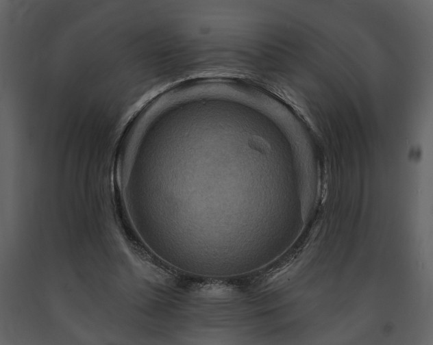 X0000091700348200708241228