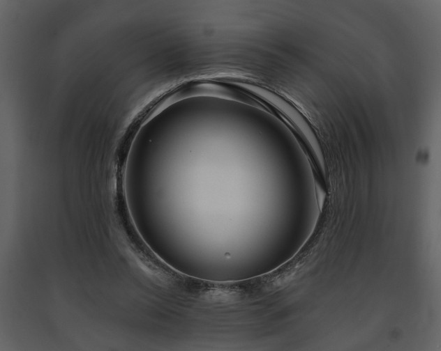 X0000091700350200708241228