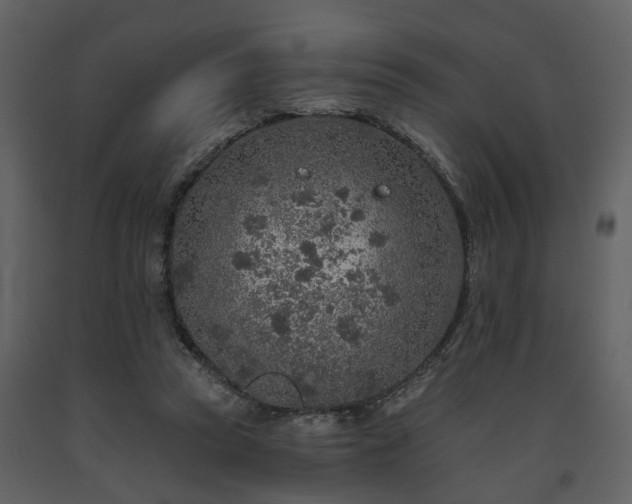 X0000091700353200708241228
