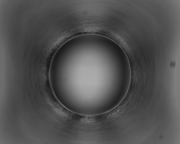 X0000091700354200708241228