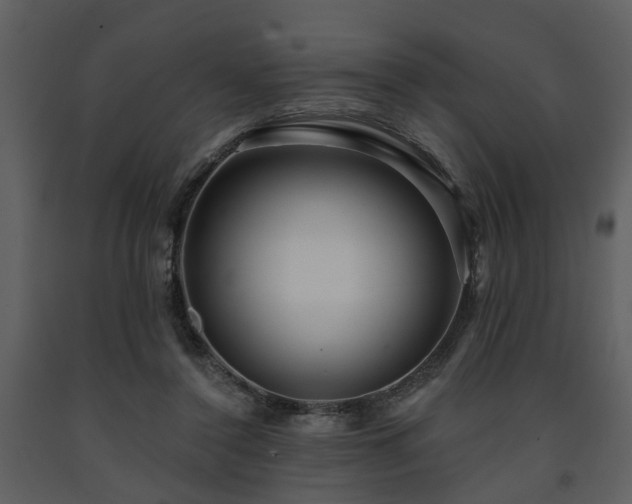 X0000091700356200708241228