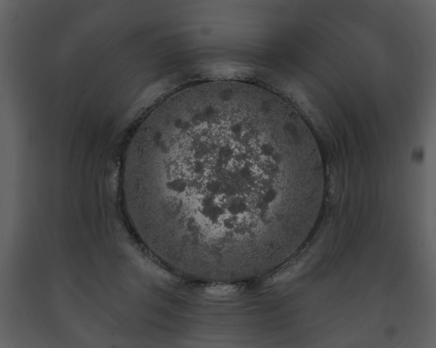 X0000091700357200708241228