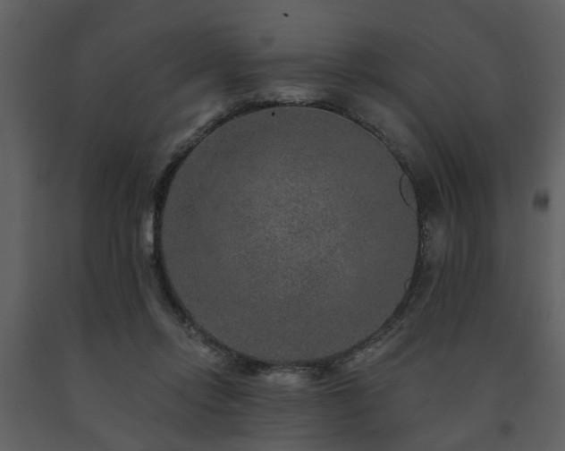 X0000091700358200708241228