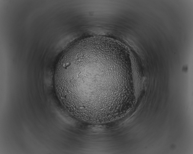X0000091700359200708241228