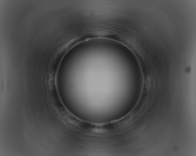 X0000091700360200708241228