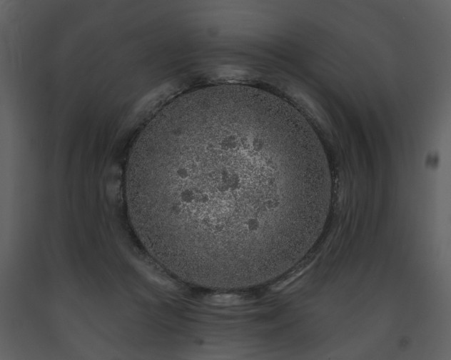 X0000091700361200708241228