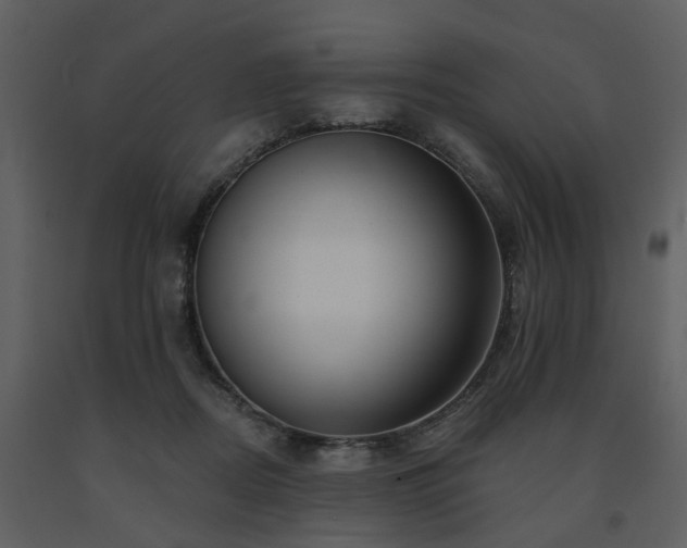 X0000091700362200708241228