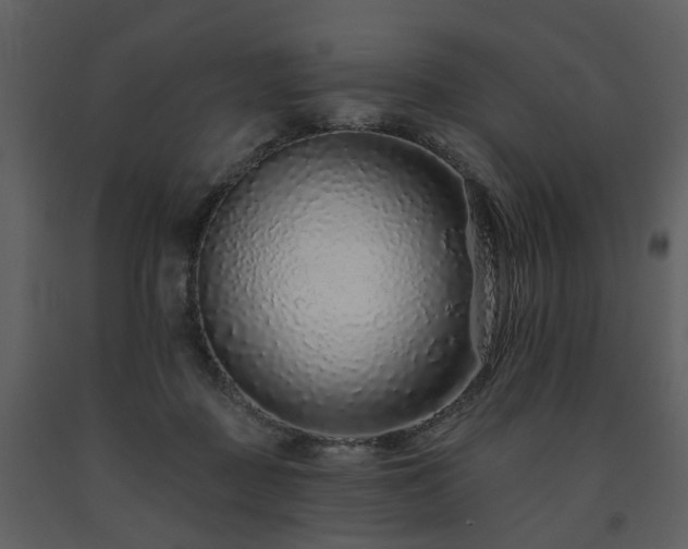 X0000091700363200708241228