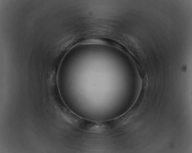 X0000091700364200708241228