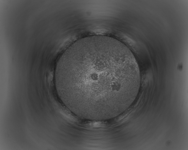 X0000091700365200708241228