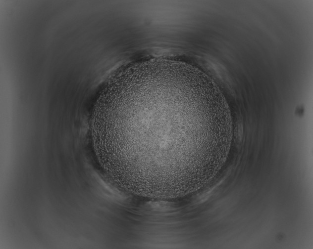 X0000091700367200708241228