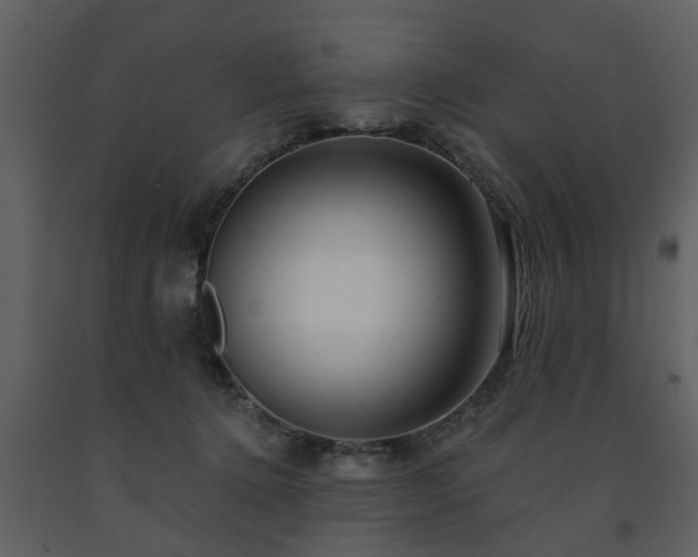 X0000091700368200708241228