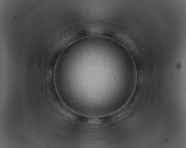 X0000091700369200708241228
