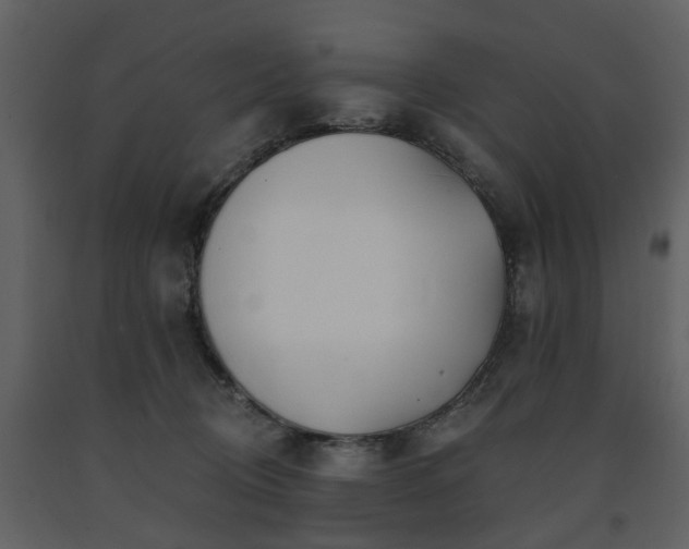 X0000091700370200708241228